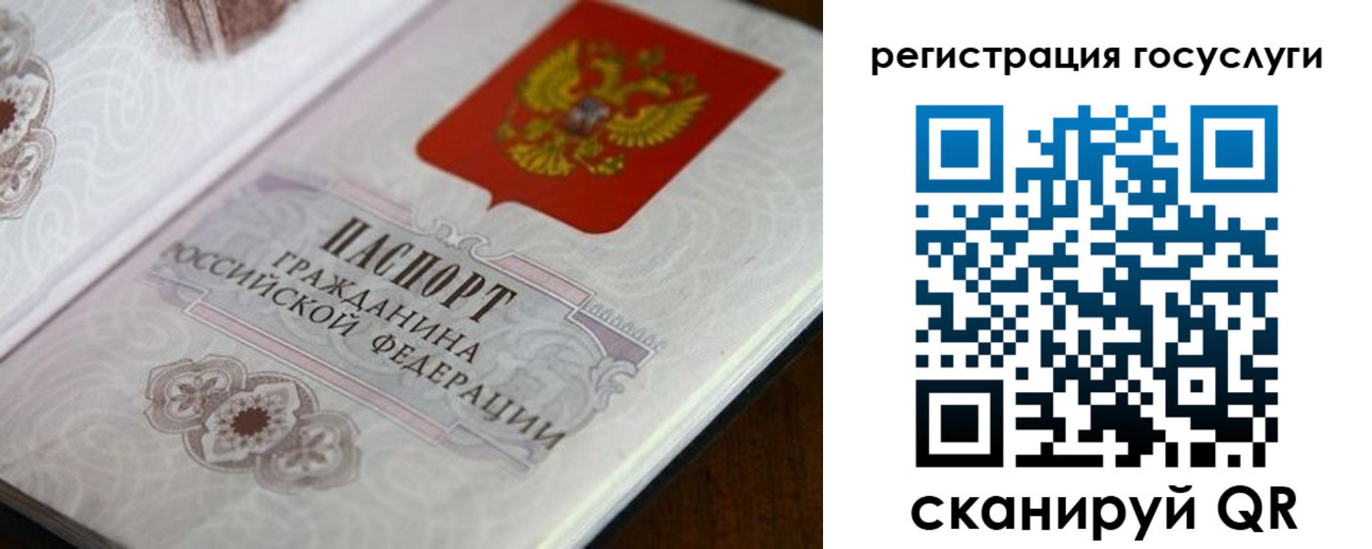 миграционный учет в Ногинске